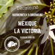 Mexique – Décaféiné