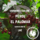 Pérou - El Palomar