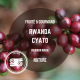 Rwanda – Cyato