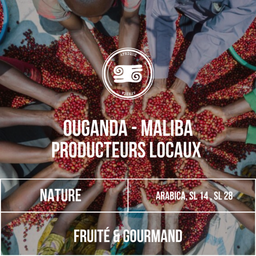 OUGANDA - MALIBA Arabica Nature