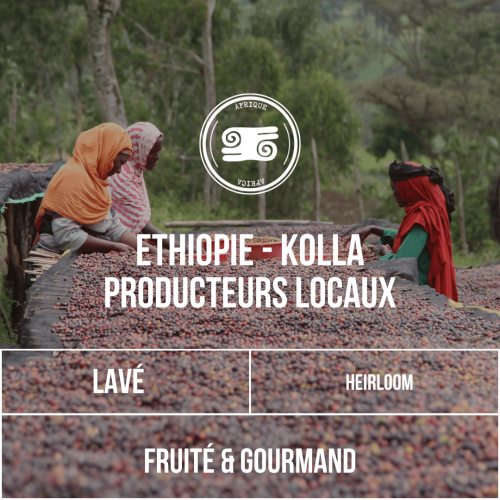 ETHIOPIE - KOLLA