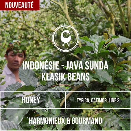 INDONÉSIE - JAVA SUNDA