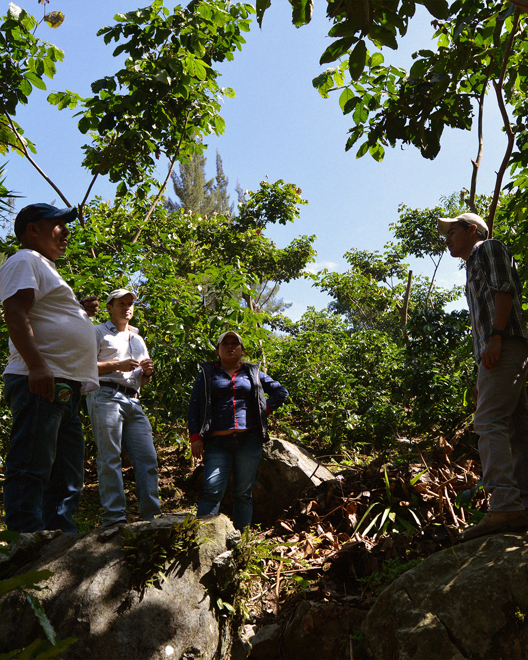 Guatemala - El Panal - 4