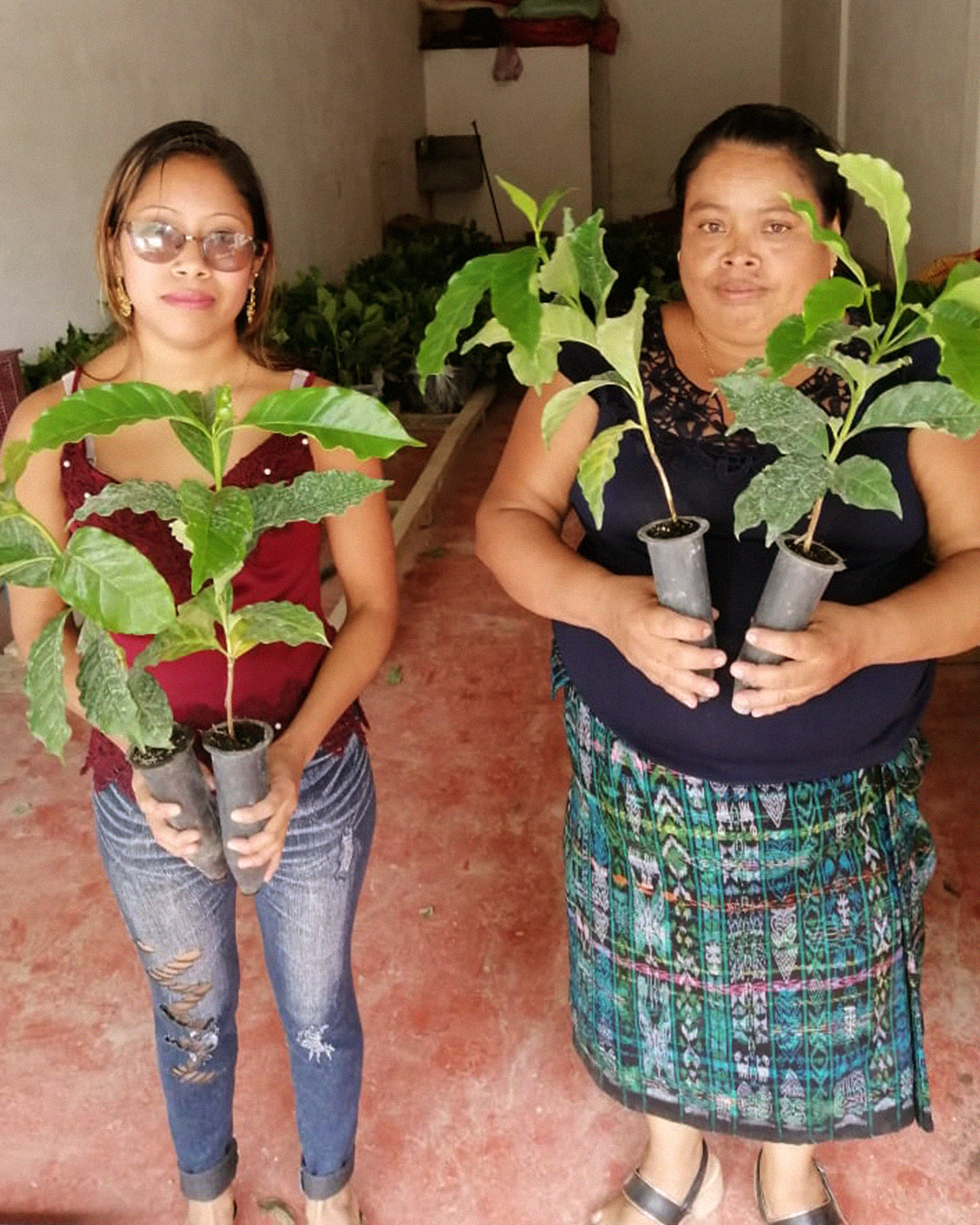 Guatemala - El Panal - 5