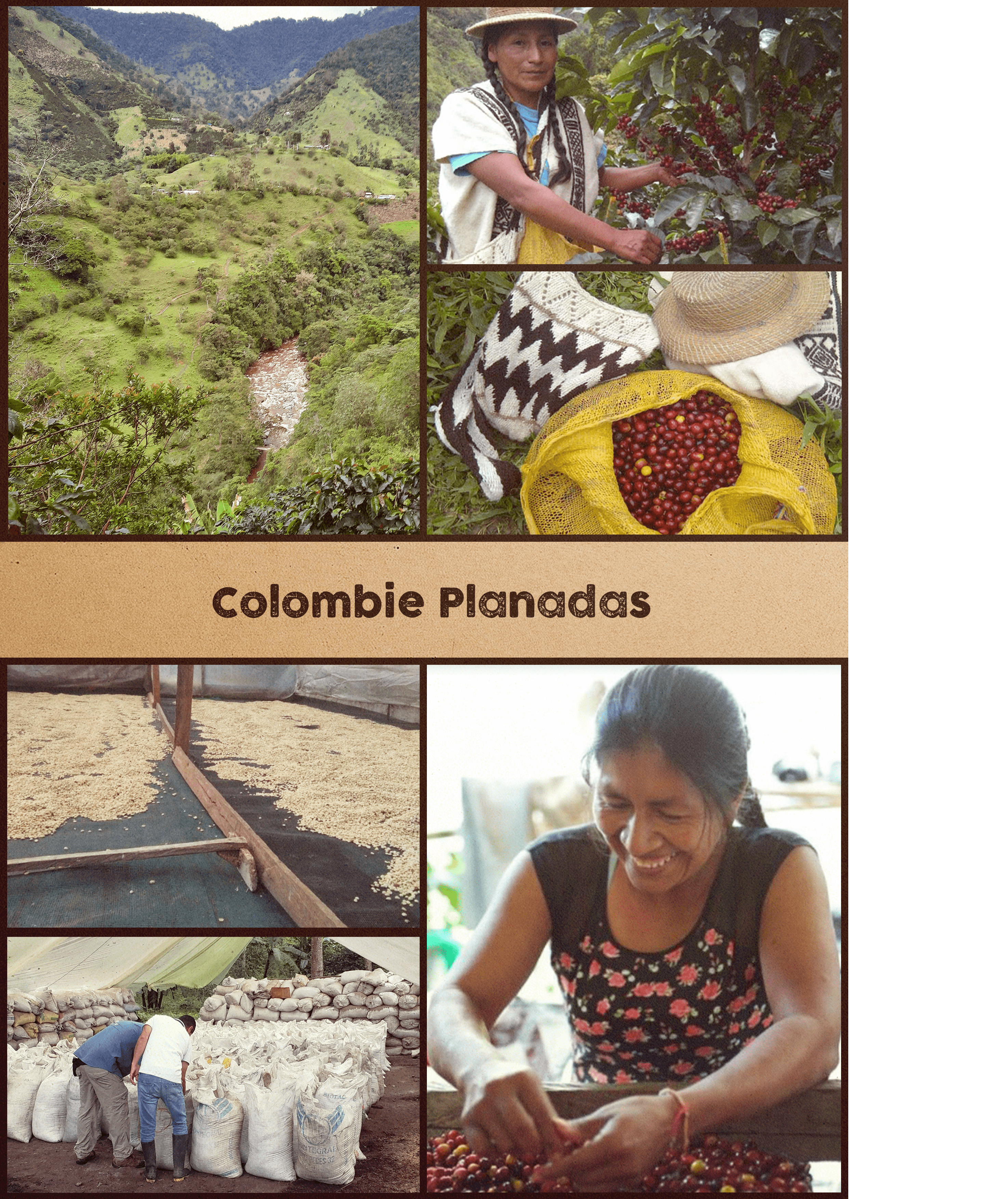 COLOMBIE - Planadas-min.png
