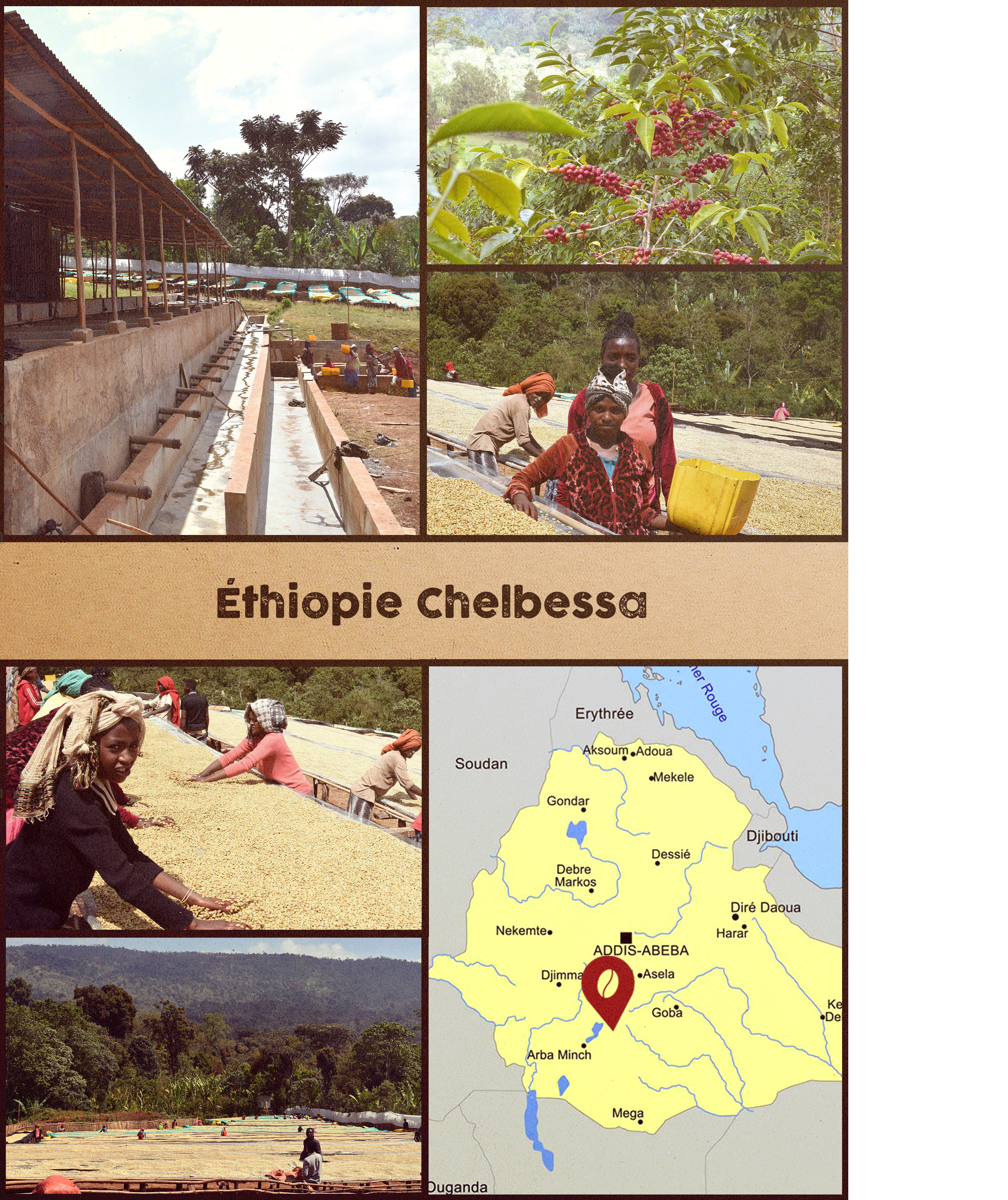 ETHIOPIE - CHELBESSA.png
