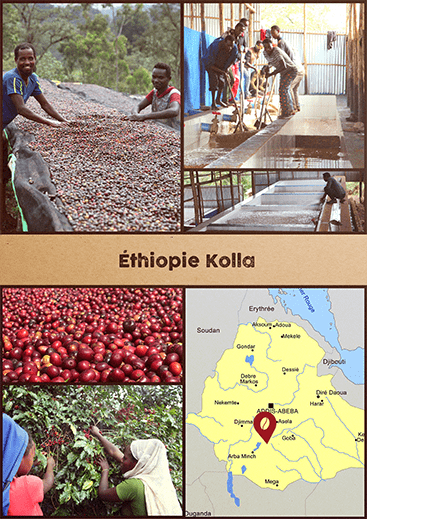 ETHIOPIE - Kolla.png