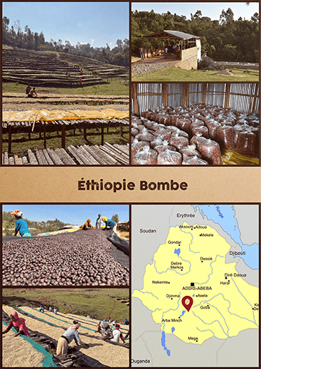 ETHIOPIE - Bombe.png